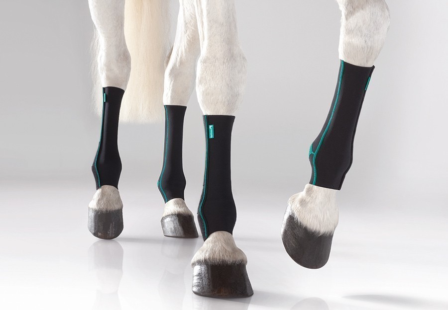 Paard met paardenbandages Paard met paardenbandages