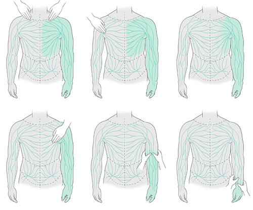 Drenagem linfática e o seu efeito visualizado em diferentes pontos do sistema linfático no tronco