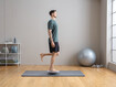 Exercise 1: Standing on one leg on balance board with knee bend