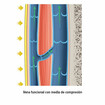 Vena funcional con media de compresión